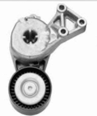 Lemförder 25745 01 - Intinzator curea, curea distributie aaoparts.ro