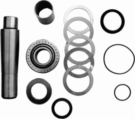 Lemförder 25738 01 - Set reparatie, pivot aaoparts.ro