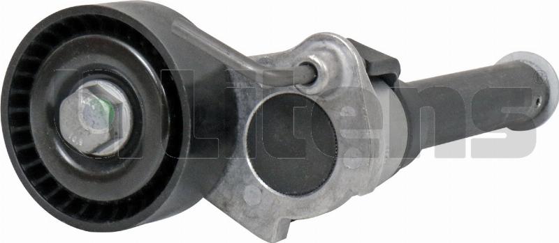 Litens 999550 - Intinzator curea, curea distributie aaoparts.ro