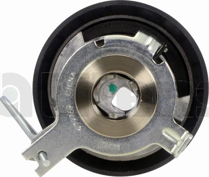 Litens 979759 - Rola intinzator,curea distributie aaoparts.ro