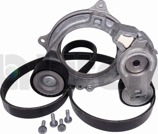 Litens LV950277A - Set curea transmisie cu caneluri aaoparts.ro