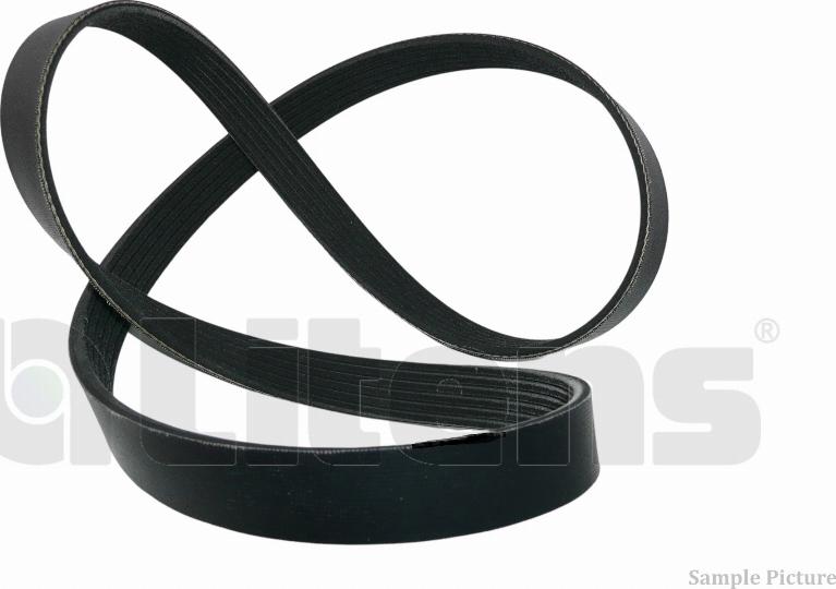 Litens LV6PK1390 - Curea transmisie cu caneluri aaoparts.ro