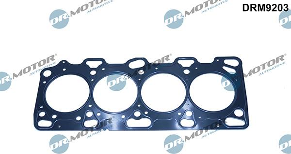 Lizarte DRM9203 - Garnitura, chiulasa aaoparts.ro