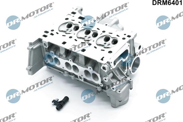 Lizarte DRM6401 - Chiulasa aaoparts.ro