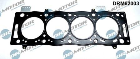 Lizarte DRM62003 - Garnitura, chiulasa aaoparts.ro