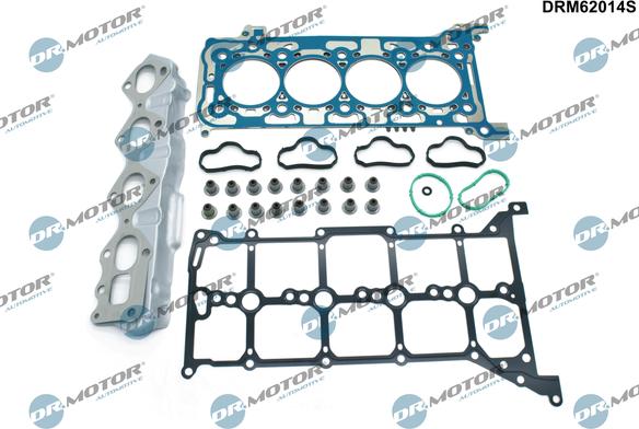 Lizarte DRM62014S - Set garnituri, chiulasa aaoparts.ro