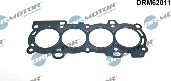 Lizarte DRM62011 - Garnitura, chiulasa aaoparts.ro