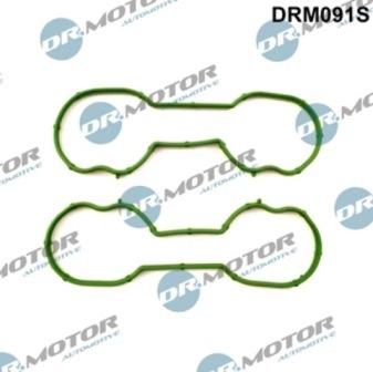 Lizarte DRM091S - Set garnituri, galerie admisie aaoparts.ro