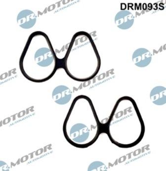 Lizarte DRM093S - Set garnituri, galerie admisie aaoparts.ro