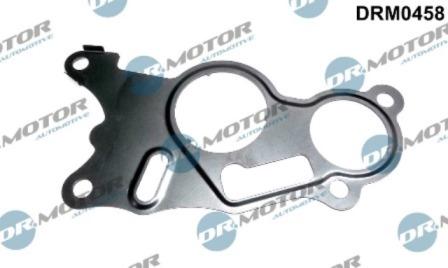 Lizarte DRM0458 - Garnitura, pompa vacuum aaoparts.ro