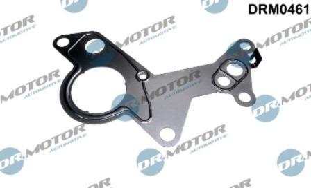 Lizarte DRM0461 - Garnitura, pompa vacuum aaoparts.ro