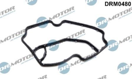 Lizarte DRM0480 - Garnituri, carcasa filtru ulei aaoparts.ro