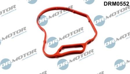 Lizarte DRM0552 - Garnitura, pompa vacuum aaoparts.ro