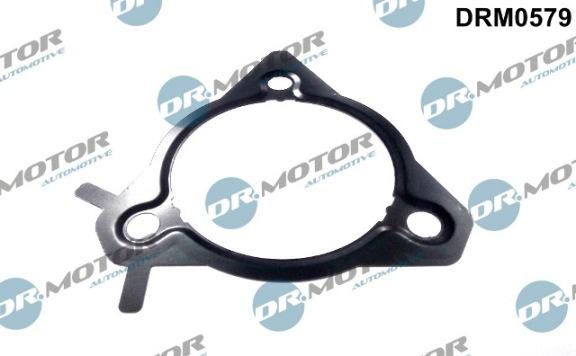 Lizarte DRM0579 - Garnitura, pompa injectie aaoparts.ro