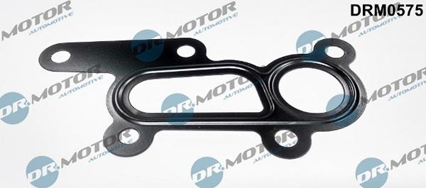 Lizarte DRM0575 - Garnituri, carcasa filtru ulei aaoparts.ro