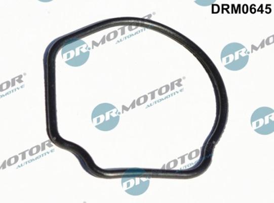 Lizarte DRM0645 - Garnitura, carcasa termostat aaoparts.ro