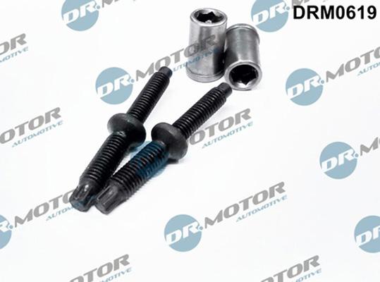 Lizarte DRM0619 - Surub, suport injector aaoparts.ro