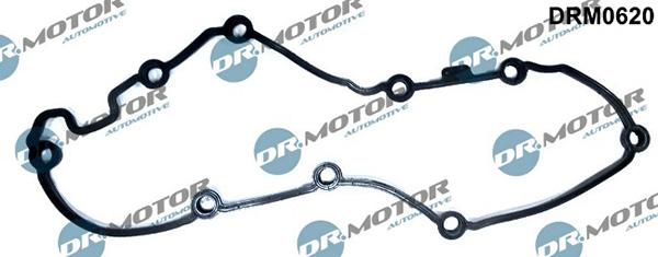 Lizarte DRM0620 - Garnitura, capac supape aaoparts.ro