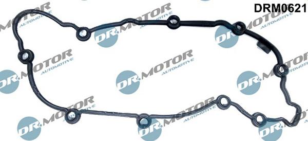 Lizarte DRM0621 - Garnitura, capac supape aaoparts.ro