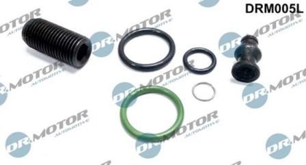Lizarte DRM005L - Chit reparatie,unitate pompa-diuza aaoparts.ro