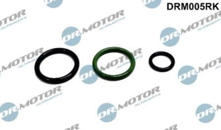 Lizarte DRM005RK - Chit reparatie,unitate pompa-diuza aaoparts.ro