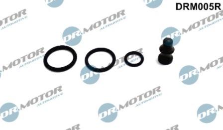 Lizarte DRM005R - Chit reparatie,unitate pompa-diuza aaoparts.ro