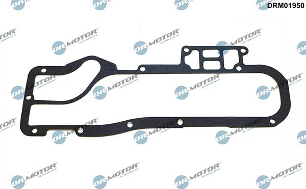 Lizarte DRM01950 - Etansare, racire ulei aaoparts.ro