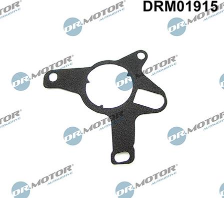 Lizarte DRM01915 - Garnitura, pompa vacuum aaoparts.ro