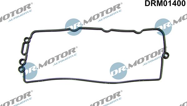 Lizarte DRM01400 - Garnitura, capac supape aaoparts.ro