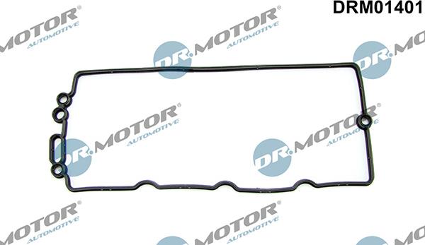 Lizarte DRM01401 - Garnitura, capac supape aaoparts.ro