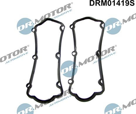 Lizarte DRM01419S - Set garnituri, Capac supape aaoparts.ro