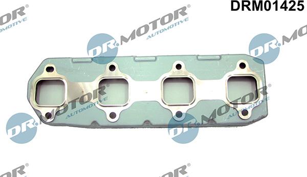 Lizarte DRM01425 - Garnitura, racord evacuare aaoparts.ro