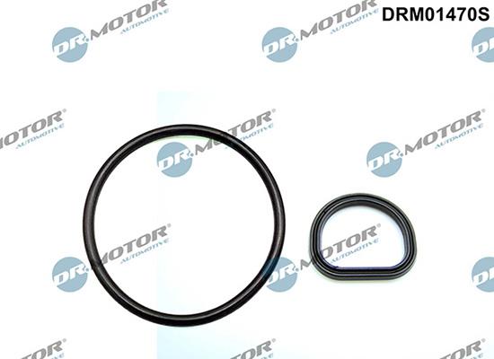 Lizarte DRM01470S - Garnitura,aerisire bloc motor aaoparts.ro