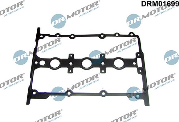 Lizarte DRM01699 - Garnitura, capac supape aaoparts.ro