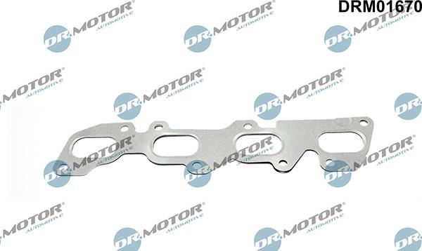 Lizarte DRM01670 - Garnitura, galerie evacuare aaoparts.ro
