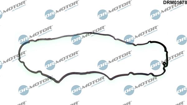 Lizarte DRM01678 - Garnitura, capac supape aaoparts.ro
