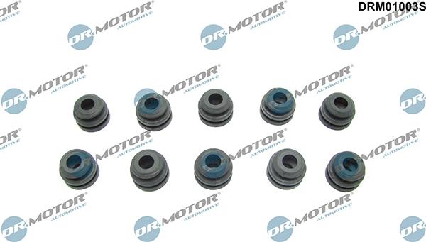 Lizarte DRM01003S - Limitator, acoperire motor aaoparts.ro