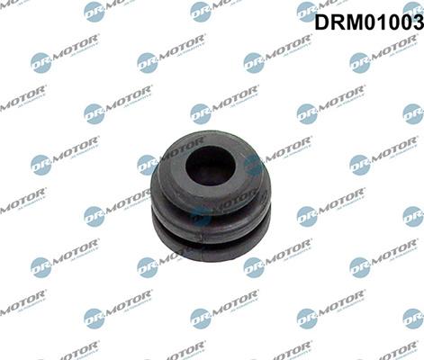 Lizarte DRM01003 - Limitator, acoperire motor aaoparts.ro