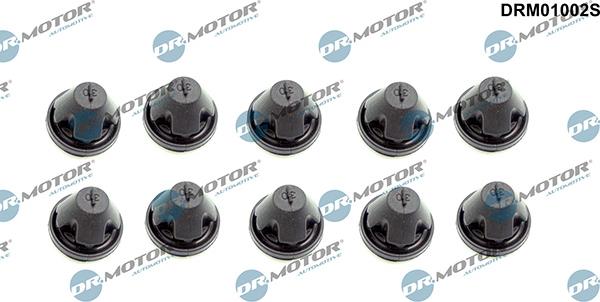 Lizarte DRM01002S - Limitator, acoperire motor aaoparts.ro