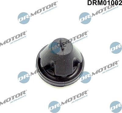 Lizarte DRM01002 - Limitator, acoperire motor aaoparts.ro