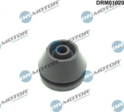 Lizarte DRM01020 - Limitator, acoperire motor aaoparts.ro