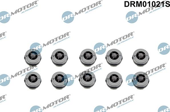 Lizarte DRM01021S - Limitator, acoperire motor aaoparts.ro