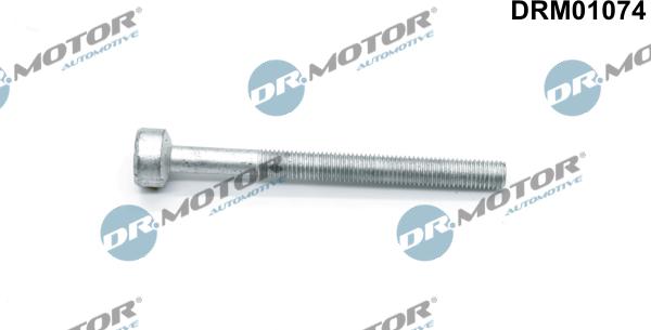 Lizarte DRM01074 - Surub, suport injector aaoparts.ro