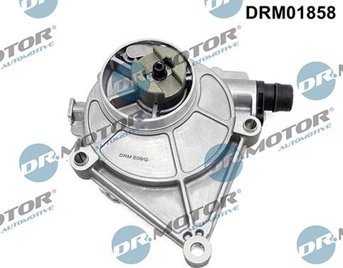 Lizarte DRM01858 - Pompa vacuum,sistem de franare aaoparts.ro