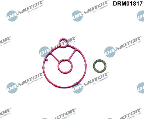 Lizarte DRM01817 - Set garnituri, radiator ulei aaoparts.ro