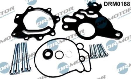 Lizarte DRM0188 - Set reparatie, pompa vacuum (Siste frana) aaoparts.ro