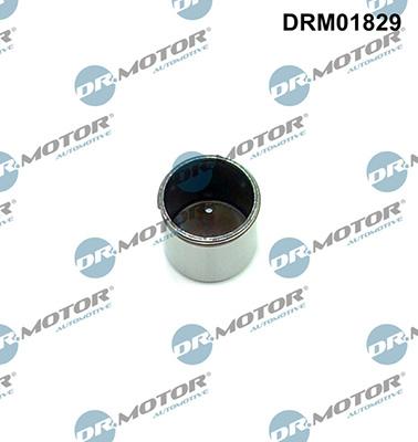 Lizarte DRM01829 - Tija, pompa inalta presiune aaoparts.ro
