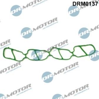 Lizarte DRM0137 - Garnitura, galerie admisie aaoparts.ro