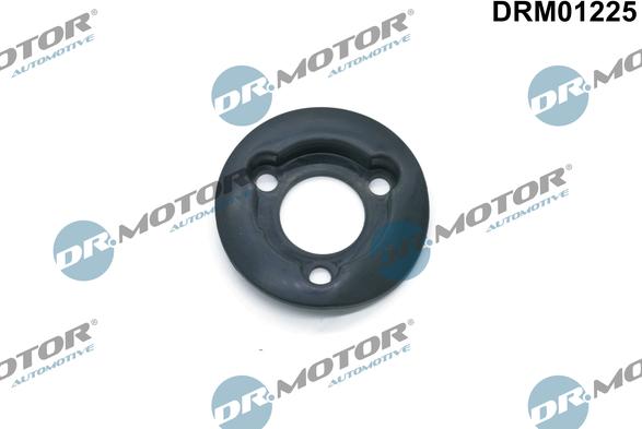 Lizarte DRM01225 - Garnitura, capac alimemtare ulei aaoparts.ro