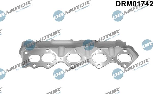 Lizarte DRM01742 - Garnitura, galerie evacuare aaoparts.ro